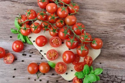 ������ ����� �������: ������� ��������� �����������