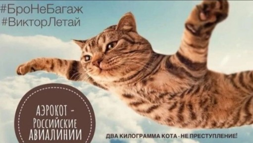 ��� ��������� ���� �������� ������ ���� ����������� �������