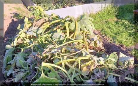 �������� �������� ������������� ����� �� ����: �� �������� �� ������