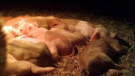 ��� ������� ��������� ������� ��� �������: ������ � ������������