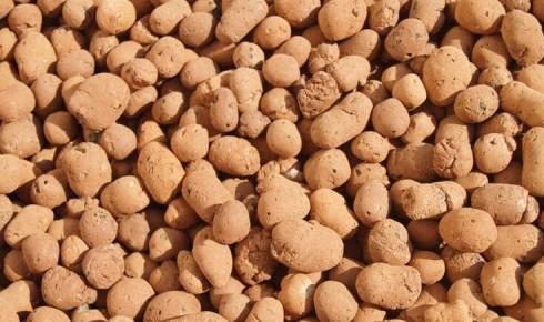 ��� �������� ����� ����������� ���� ��������� ��������