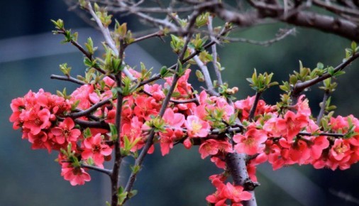 ���������� ���� � ��������� ������