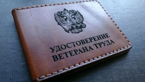 Новые возможности для ветеранов труда: как не упустить льготы в 2026 году