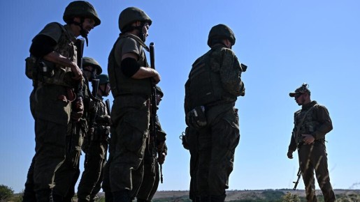 Правительство России поддерживает инициативу по защите граждан за границей