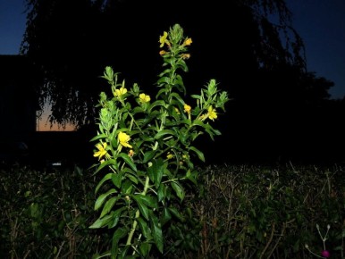 �����, ������� ����� �������� ��� ��� �� ����