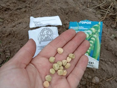 ��� ��������� ���������� ����� � �������� �������� ������