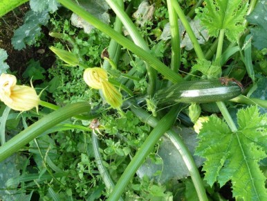 ������ ������� �� ����������: 7 ����������� ������