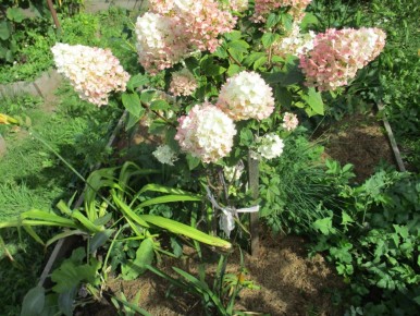 ������� ������: ��� ������� ������ ������ ������