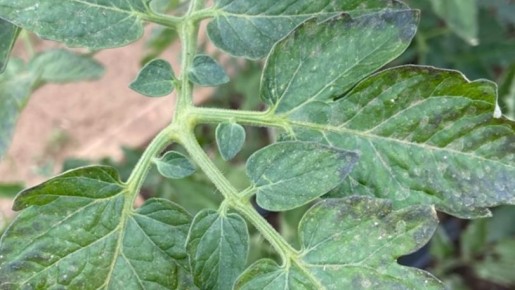 ������� ������ ���������: ��� �������� ���������������� ������ � ��������������� ������