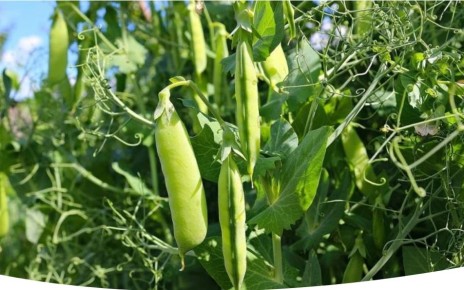 ��� ��������� �����: ������� �������� ������� � �����