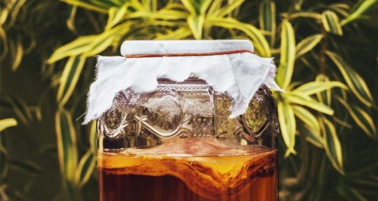 ������ ����: ������� ��� ������? ����������� � ������������� � ������ �������