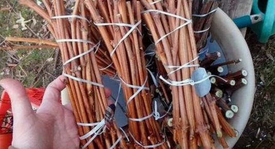 �� ������������ �����! ������������ � ������ ��� ������� ��������