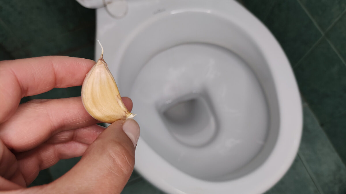 Неожиданное применение чеснока: как очистить унитаз
