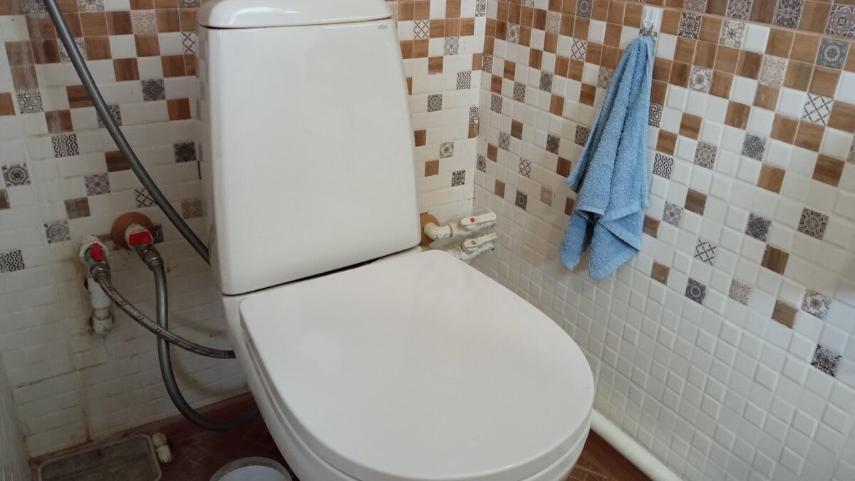 Необычный способ очистки унитаза от налета: советы из прошлого