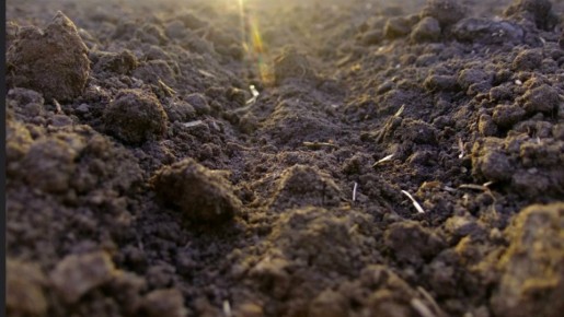 ��� ���������� �������� ��������� ����� �� ��������� ������