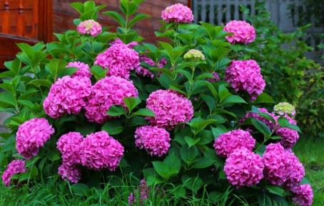 �������� ��������� ��� ���������: ������� ������� �������� � ������� �������