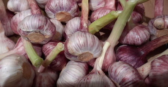 ��� ���������� ������������ ������ ����� ����� ������� �������