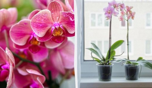 ��� �������� ������� �������� ������� � ������� ��������� ��������