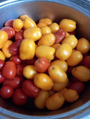 ������� �������� �� ����: ��������� ������ ��� ��������