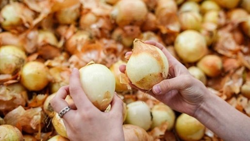 Цены на продукты в России: падение и подъем на фоне экономических изменений