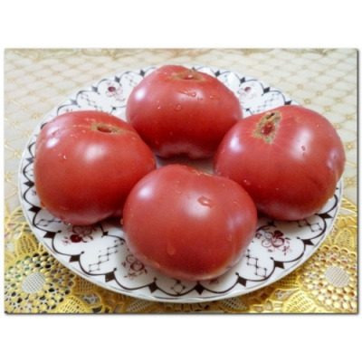 Томат Семейная реликвия Галины №2: как вырастить уникальный сорт с богатой историей