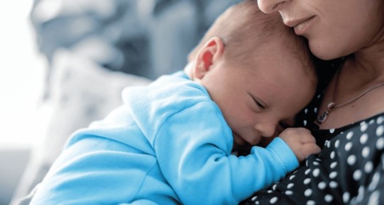 �������� � �������� �������: ��� ����� �����, ����� �� ������� � �������