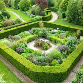 Как создать живую изгородь: стильный подход к ограждению вашего участка