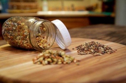 Простые шаги для подготовки семян к посеву