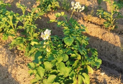 ���-�����������: ���� � ��������� ������ ���������