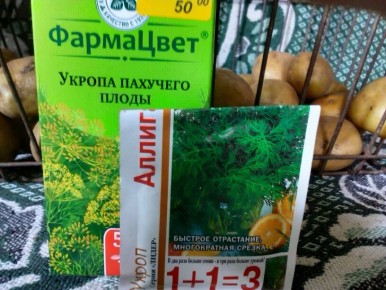 ����� ����� �������: ������� ��� ��������? ������ ��������� �� �������