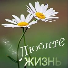 ��� ��������� ������ �����: ����������� �� ������������ � ������� ���������� ����