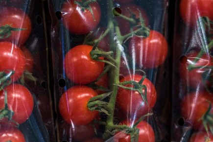 ����� � ��������� �������: ��� ������� ���� ������ �� ������