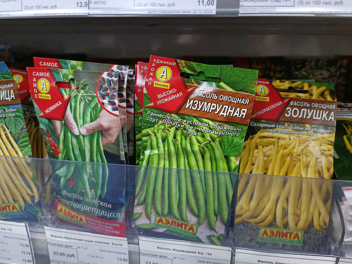 Осенние распродажи семян: что стоит покупать, а что нет