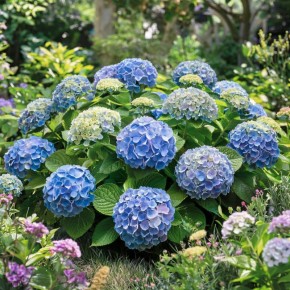 ���� ��������� ������ ���������, ������� �������� ��� ������ � ������