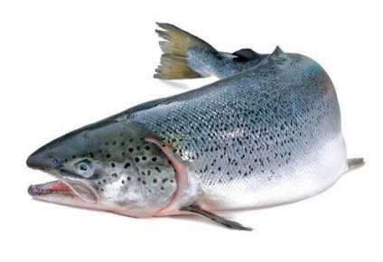 ��� ��������� �������� �����: ������ � �������