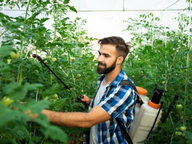 Осенние секреты ухода за садом