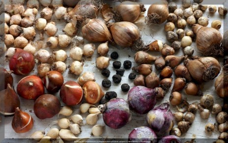 ������� �������� ������ ������� ���������� �������