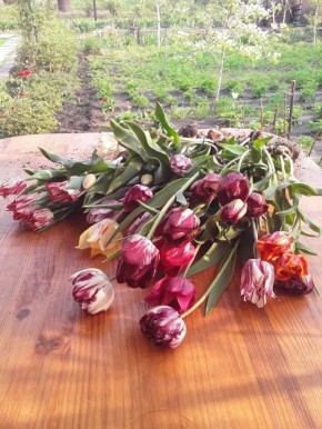 ������ �������� ��� �������: ������ � ������� �����������������