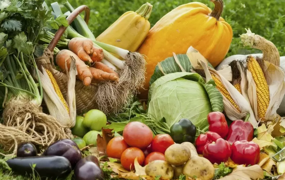 25 простых секретов дачников для щедрого урожая