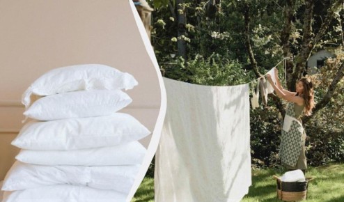 ����������� ������ ����������� ����������� ����� ��� ���������