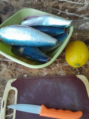 ������ ������� ���������� ��������: ��������� ��������� �������� � �������