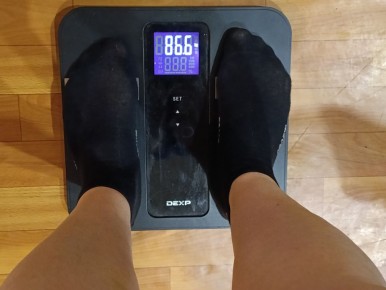 ������������ ���������: ��� ���� ����� �������� �����