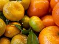 Специалисты предупреждают: не более четырех мандаринов в день