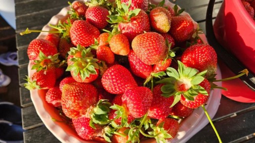 ���� ������� ������ ��� ������� ��������, ������� ����� �������� � ����