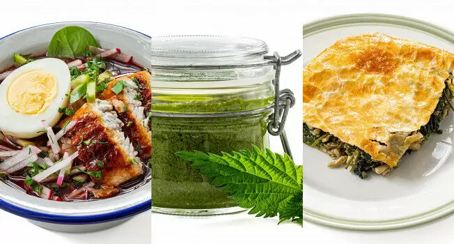 Крапива на вашей тарелке: необычные рецепты для весенних застолий