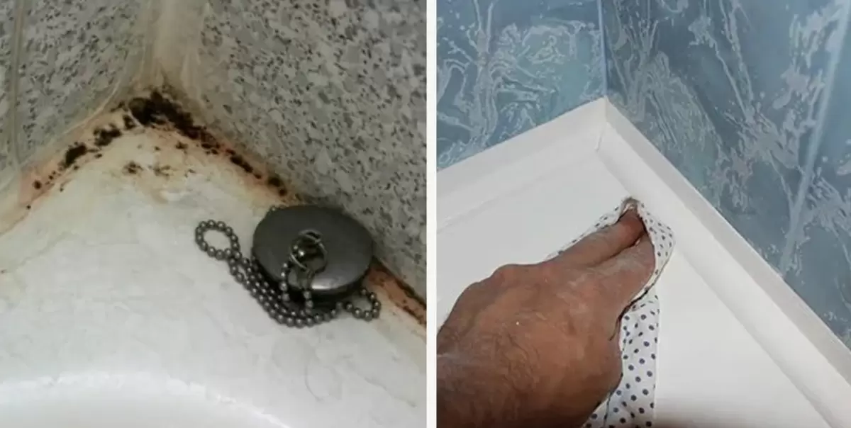 Как шаг за шагом победить плесень в ванной с помощью старинного трюка