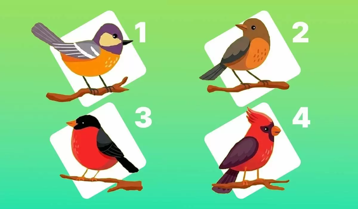 Тест на любовь: как выбрать правильную птицу и понять свои чувства
