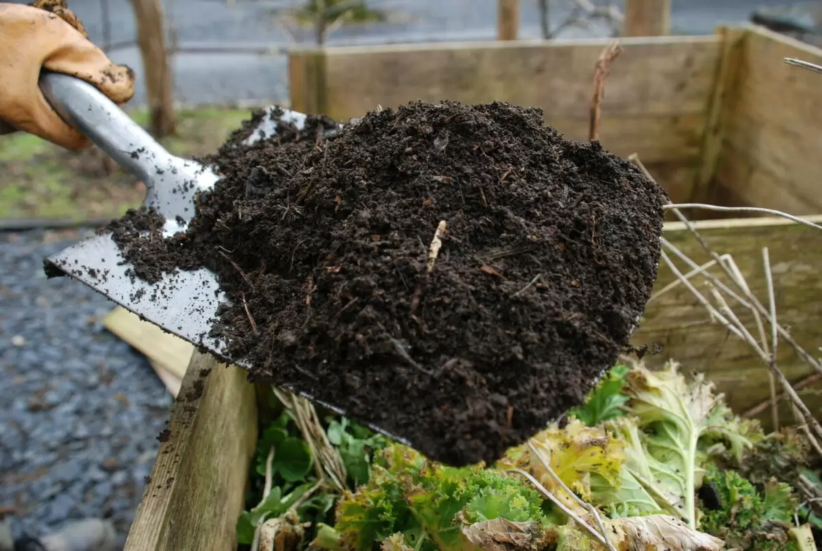 Компост на даче: как превратить осенний мусор в полезное удобрение