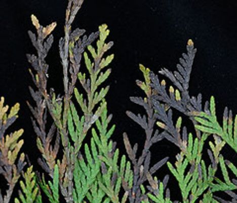 �������� � ����� ���: ������� ���������� � ���� �� �� ����������