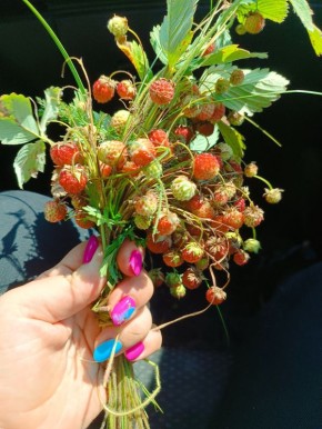 ������ �������: ��� ������ ���� �������� ������� �������